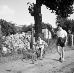 1949, Gara Andor, bicycle, Fortepan #285168