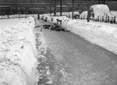 Magyarország, Budapest V., a felvétel a Fővám téren készült, háttérben a Vámház körút 2. számú ház oldalhomlokzata., 1935, Gara Andor, Budapest, üzletportál, madáretetés, tél, pad, havas táj, Fortepan #285218