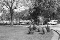 Magyarország,Balaton, Tihany, Motel., 1961, Gara Andor, parkoló, Volkswagen Bogár, Fortepan #285430