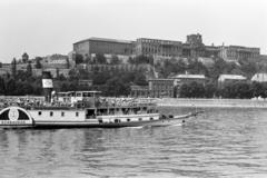 1960, Gara Andor, Danube, Fortepan #285535