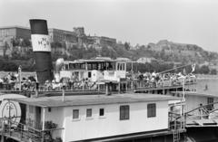 1960, Gara Andor, Danube, port, Fortepan #285538