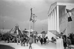 Magyarország, Budapest X., Albertirsai úti vásár területe., 1955, Gara Andor, Budapest, Fortepan #285605