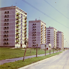 Magyarország, Százhalombatta, Hága László út, a "Nyolcemeletesek"., 1966, Építésügyi Dokumentációs és Információs Központ, VÁTI, színes, lakótelep, Fortepan #28570