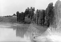 Magyarország, Sárospatak, Bodrog-part, Rákóczi-vár., 1959, Építésügyi Dokumentációs és Információs Központ, VÁTI, folyó, fasor, múzeum, vízpart, vár, Fortepan #28582