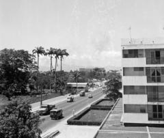 Franciaország,Guadeloupe, Les Abymes, Avenue Patrick-Saint-Eloi., 1976, Gara Andor, Fortepan #285839