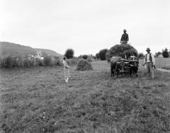 1933, Kieselbach Tamás, chariot, agriculture, peasant, hay, Fortepan #286285