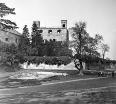 Magyarország, Sárospatak, a Rákóczi-vár Vörös tornya a Bodrog folyó partja felől., 1953, Kieselbach Tamás, vár, Fortepan #286345