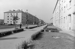 Magyarország, Kazincbarcika, Egressy Béni (Lenin) út a Munkácsy tér felől nézve, jobbra a 28. szám bejárata, balra a növekvő páratlan számok., 1958, Építésügyi Dokumentációs és Információs Központ, VÁTI, utcakép, lámpaoszlop, Fortepan #28654