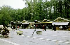 Magyarország, Hévíz, Deák Ferenc tér., 1973, Kozák, Fortepan #286720