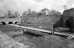 Magyarország, Tata, várárok, árok híd és kapubejáró a rondella felől., 1959, Építésügyi Dokumentációs és Információs Központ, VÁTI, vár, kapualj, kőhíd, ívhíd, Fortepan #28676