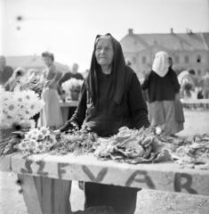 Magyarország, Székesfehérvár, Piac tér, virágárusok a piacon., 1958, Szentkuthy Ibolya, Best of, kofa, virágárus, felirat, Fortepan #286936