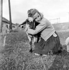 1956, Szentkuthy Ibolya, girl, lamb, fondness, Fortepan #286945