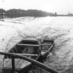 1957, Szentkuthy Ibolya, Fortepan #286957