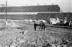 Magyarország, Óbuda, Budapest III., a Kiscelli Múzeum (az egykori Schmidt kastély) a Kolostor út felől nézve., 1963, Szilvási hagyaték, Budapest, Fortepan #287117