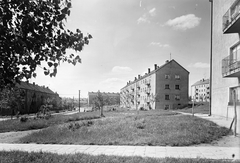 Hungary, Komló, Kökönyös városrész, Jó szerencsét (Sallai Imre) utca a Pécsi út felé nézve., 1960, Építésügyi Dokumentációs és Információs Központ, VÁTI, blocks, street view, socialist realism, Fortepan #28717