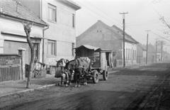 Magyarország, Budapest XV., Nádastó utca, középen a lovaskocsi mögött a Dalnoki Jenő (Gyula) utca torkolata., 1955, Ladinek Viktor, lovaskocsi, Budapest, abrakostarisznya, földút, Fortepan #287454