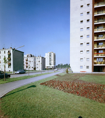 Magyarország, Eger, Hadnagy úti lakótelep. Szemben a Hadnagy utca 18. sz. alatti Szuperett élelmiszerüzlet., 1969, Építésügyi Dokumentációs és Információs Központ, VÁTI, színes, Fortepan #28759