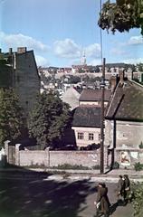 Magyarország, Naphegy, Budapest I., Naphegy utca, szemben a 6-8-10. szám alatti üres telek. Távolban a budai Várban a Mátyás-templom tornya látható., 1955, Csaba László örökösei, színes, látkép, Budapest, Fortepan #287810