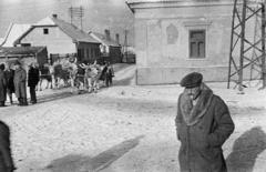 1949, Csaba László örökösei, chariot, snow, cattle, hackery, Hungarian grey cattle, Fortepan #288651