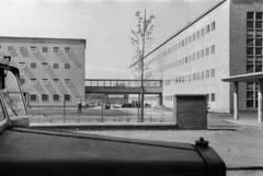 Magyarország, Budapest X., Szállás utca 5-7., Phylaxia Állami Oltóanyagtermelő Intézet., 1953, Csaba László örökösei, üzem, függőfolyosó, modern építészet, Budapest, Fortepan #288675