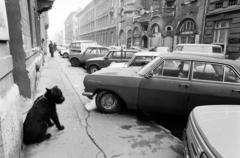 Magyarország, Budapest VIII., Szinyei Merse utca a Podmaniczky (Rudas László) utca - Szondi utca közötti szakaszon., 1990, Prohászka Imre, Best of, kutya, Opel Rekord, Budapest, Fortepan #288726