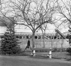 Magyarország, Kiskunhalas, Bethlen Gábor tér., 1970, Építésügyi Dokumentációs és Információs Központ, VÁTI, pad, Fortepan #28885