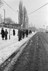 Magyarország, Budapest VIII., Fiumei (Mező Imre) út, buszmegálló a Józsefvárosi pályaudvar előtt, szemben az Orczy tér., 1980, Prohászka Imre, Budapest, Fortepan #288912