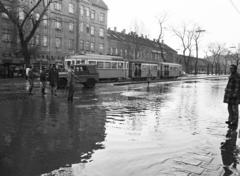 1980, Prohászka Imre, GAZ 69, Fortepan #288924