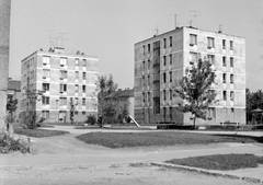 Magyarország, Székesfehérvár, Horvát István lakótelep, Prohászka Ottokár (Lenin) úti épületek., 1972, Építésügyi Dokumentációs és Információs Központ, VÁTI, játszótér, lakótelep, antenna, Fortepan #28904