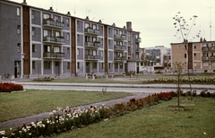 Magyarország, Tiszaújváros, (Tiszaszederkény) Munkácsy Mihály úti ház hátsó frontja a Széchenyi út felől a Tisza út felé nézve., 1963, Építésügyi Dokumentációs és Információs Központ, VÁTI, színes, Fortepan #28922