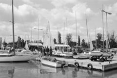 Hungary, Balatonfüred, Magyar Vitorlás Szövetség Balatonfüredi vízitelep, balra az Országos Műszaki Fejlesztési Bizottság / OMFB üdülője., 1986, Prohászka Imre, Fortepan #289229