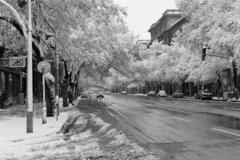 Magyarország, Budapest VI., Andrássy út (Népköztársaság útja), balra a Liszt Ferenc tér., 1983, Bencseky Mátyás, Budapest, Fortepan #289607