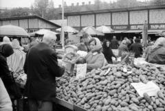 Magyarország, Budapest XIII., Lehel (Élmunkás) téri piac, háttérben a Váci út., 1969, Bencseky Mátyás, piac, árcédula, krumpli, mérleg, Budapest, Fortepan #289706