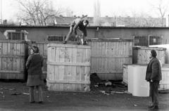 1971, Bencseky Mátyás, Fortepan #289820