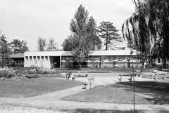 Magyarország, Kecskemét, Műkert, Park étterem., 1966, Építésügyi Dokumentációs és Információs Központ, VÁTI, napernyő, étterem, terasz, pad, Fortepan #28992