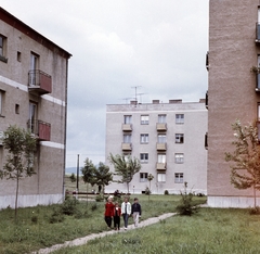 Hungary, Bátonyterenye, Nagybátony (ekkor önálló), Kossuth Lajos út és Liget út házai., 1960, Építésügyi Dokumentációs és Információs Központ, VÁTI, colorful, blocks, street view, kids, Fortepan #29000