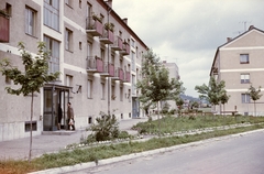 Hungary, Bátonyterenye, Nagybátony (ekkor önálló), Liget út., 1960, Építésügyi Dokumentációs és Információs Központ, VÁTI, colorful, street view, wood, balcony, Fortepan #29002