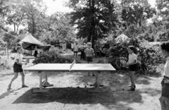 1960, Hegyvidéki Helytörténeti Gyűjtemény, ping pong, Fortepan #290192