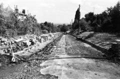 Magyarország, Budapest XII., Orbánhegyi út a Szent Orbán (Orbán) tér felől, balra az 51. számú ház, 1962, Hegyvidéki Helytörténeti Gyűjtemény, Budapest, Fortepan #290208