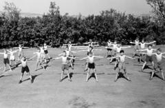 1959, Hegyvidéki Helytörténeti Gyűjtemény, torna, testnevelés, fiúosztály, Fortepan #290315