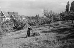 Magyarország, Budapest XII., Zugliget, Szarvas Gábor út, balra a Szent Család-templom., 1955, Hegyvidéki Helytörténeti Gyűjtemény, Budapest, Fortepan #290339