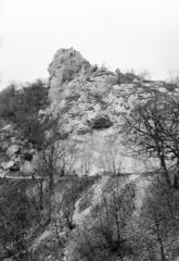 Magyarország, Budapest XII., Tündér-hegy, Tündér-szikla., 1959, Hegyvidéki Helytörténeti Gyűjtemény, Budapest, Fortepan #290358