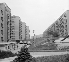 Magyarország, Százhalombatta, balra Hága László, jobbra Béke utcai házak., 1976, Építésügyi Dokumentációs és Információs Központ, VÁTI, csúszda, görkorcsolya, Fortepan #29039