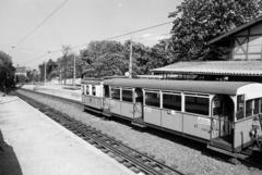 Magyarország, Budapest XII., a Fogaskerekű Svábhegy megállója., 1973, Hegyvidéki Helytörténeti Gyűjtemény, Budapest, fogaskerekű vasút, Fortepan #290487