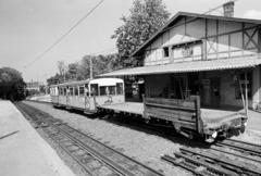 Magyarország, Budapest XII., a Fogaskerekű Svábhegy megállója., 1973, Hegyvidéki Helytörténeti Gyűjtemény, Budapest, fogaskerekű vasút, Fortepan #290488