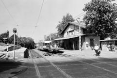 Magyarország, Budapest XII., Eötvös út, a Fogaskerekű Svábhegy megállója., 1973, Hegyvidéki Helytörténeti Gyűjtemény, Budapest, fogaskerekű vasút, Fortepan #290489