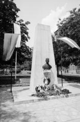 Magyarország, Budapest XII., Királyhágó (Joliot-Curie) tér, Frederic Joliot-Curie szobra (Marton László, 1959.)., 1970, Hegyvidéki Helytörténeti Gyűjtemény, Budapest, Fortepan #290524