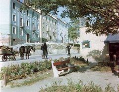 Magyarország, Várpalota, Szent István út, a Fekete gyémánt utca felől a Jókai utca felé nézve., 1963, Építésügyi Dokumentációs és Információs Központ, VÁTI, színes, ló, lovaskocsi, fogat, pad, Fortepan #29101