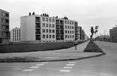 Magyarország, Zalaegerszeg, Platán sor (Lenin út) - Landorhegyi út sarok., 1968, Építésügyi Dokumentációs és Információs Központ, VÁTI, gyalogátkelő, Fortepan #29107