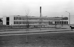 Magyarország, Zalaegerszeg, Landorhegyi út, általános iskola., 1968, Építésügyi Dokumentációs és Információs Központ, VÁTI, Fortepan #29108